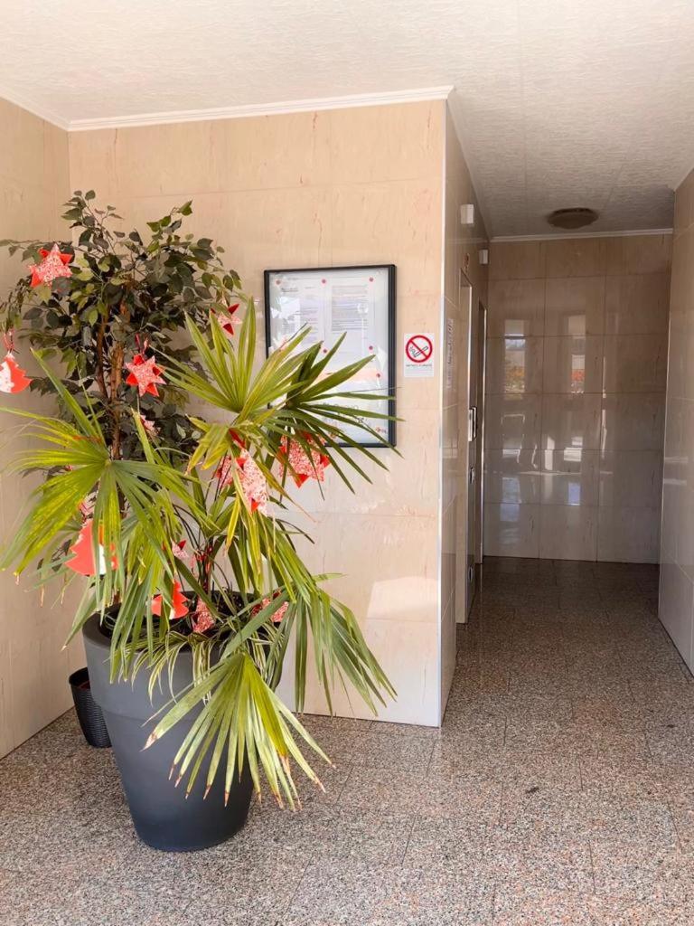 Coco Apartment Bergamo Eksteriør billede
